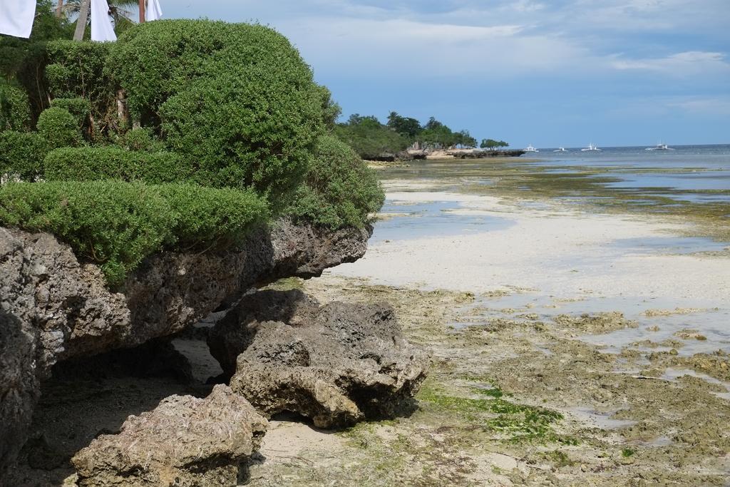 Dive Thru Resort Panglao Eksteriør billede